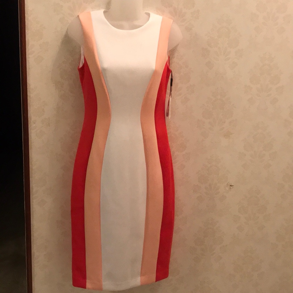 Calvin Klein Sheath Dress size 4 NEW WITH TAGS!